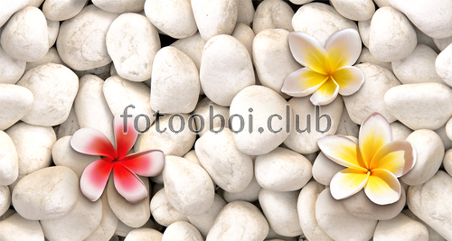 цветы, цветок, камни, 3д, 3d, стереоскопические 